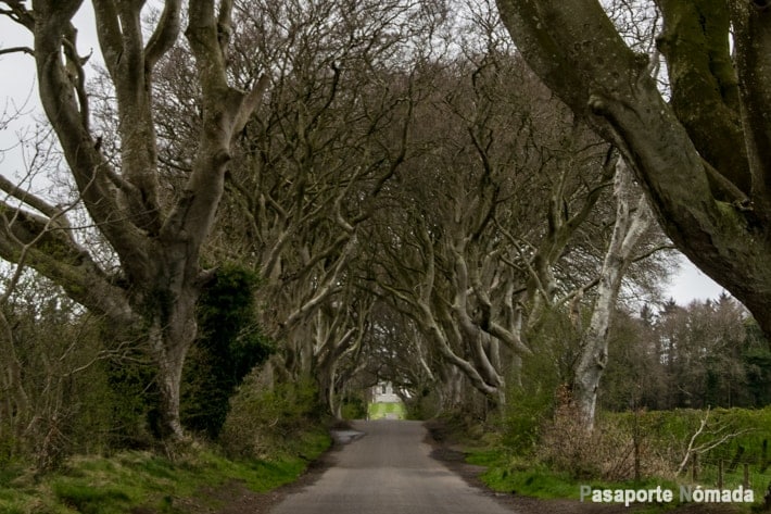 dark hedges juego de tronos en irlanda del norte