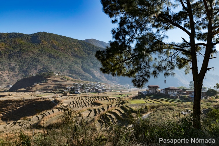 terrazas de arroz en butan