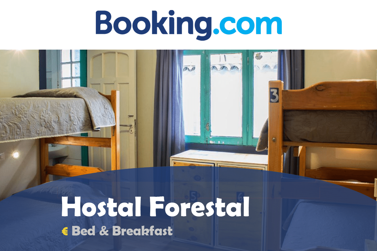 hostal forestal