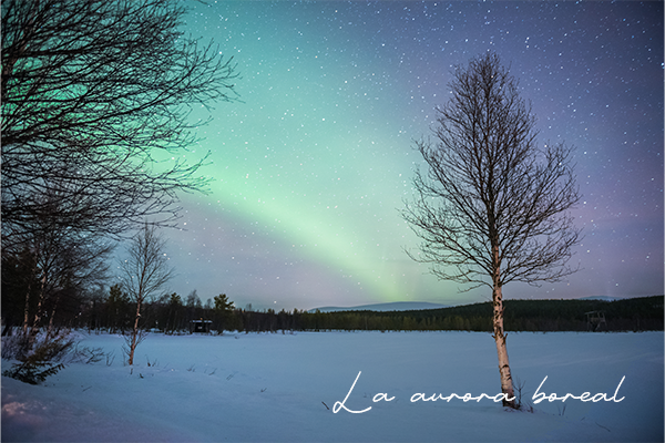 La Aurora Boreal