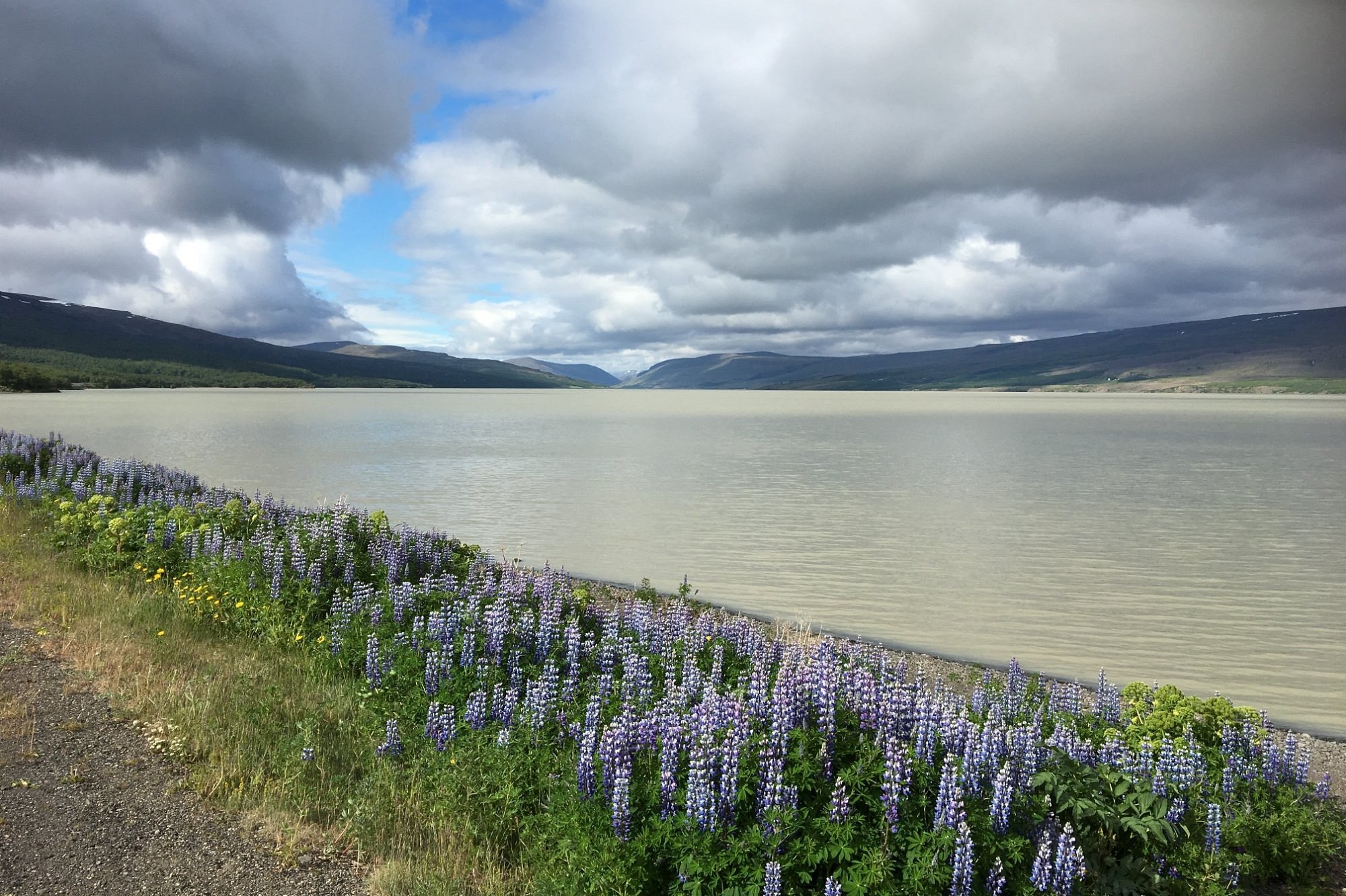 Lagarfjot cerca de los Fiordos del este