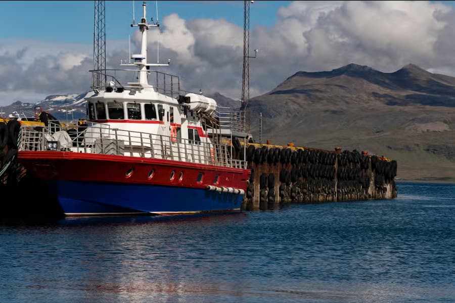 Avistamiento de ballenas en Olafsvik