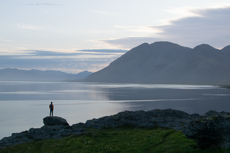 Aguas espejo en Hvalnes Nature Beach Fiordos Orientales de Islandia