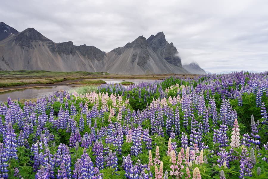 Lugares que ver en los Fiordos del Este de Islandia