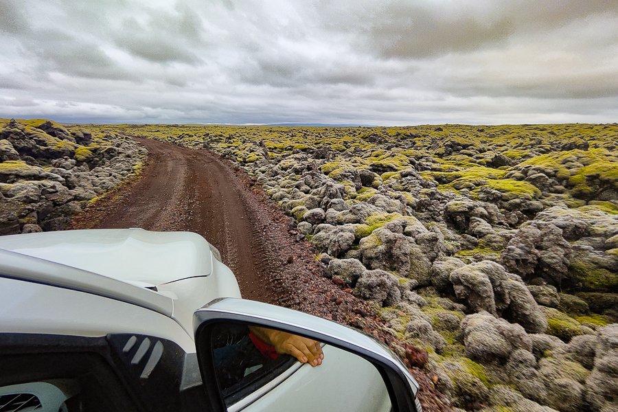 Desierto de lava cubierto por musgo en la F206